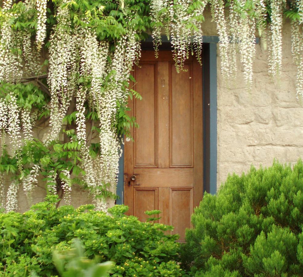 Bed and Breakfast Muddy Creek Cutting Lauder Экстерьер фото